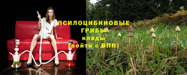 Альфа ПВП Армянск