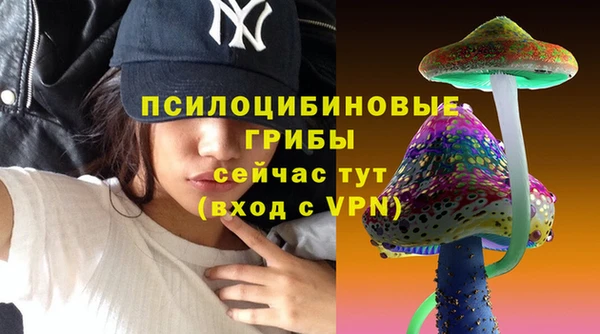 Альфа ПВП Армянск