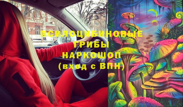 Альфа ПВП Армянск